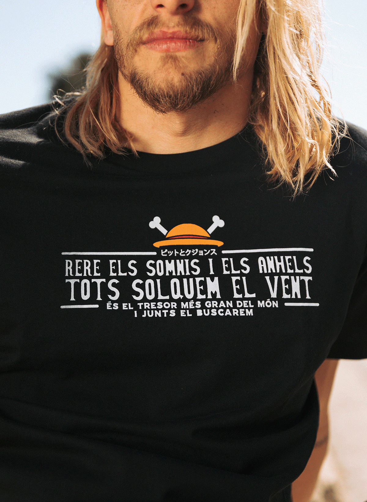 One Piece - Rere els somnis i els anhels, tots solquem el vent.
