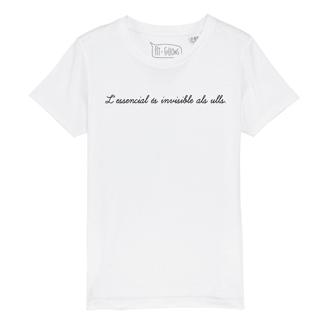 L'essencial és invisible als ulls (infantil)