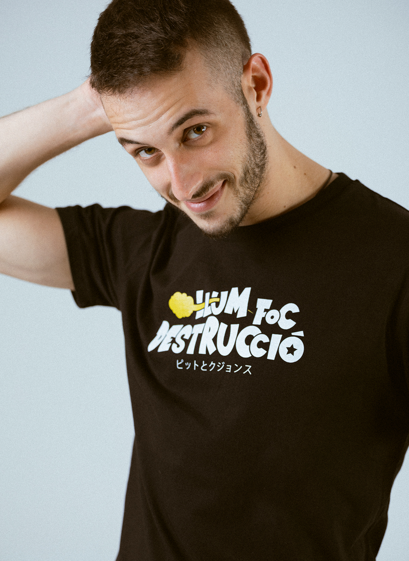 Llum Foc Destrucció - Bola de Drac Z