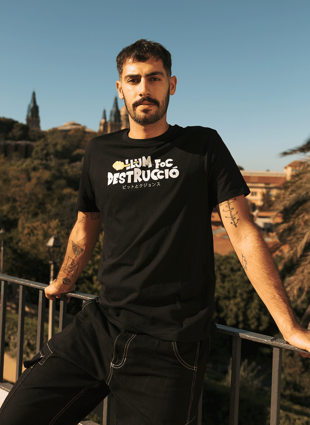 Llum Foc Destrucció - Bola de Drac Z