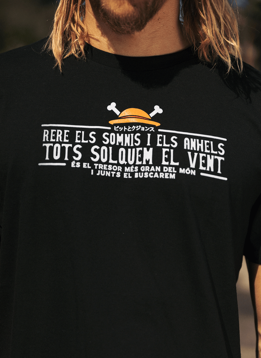 One Piece - Rere els somnis i els anhels, tots solquem el vent.