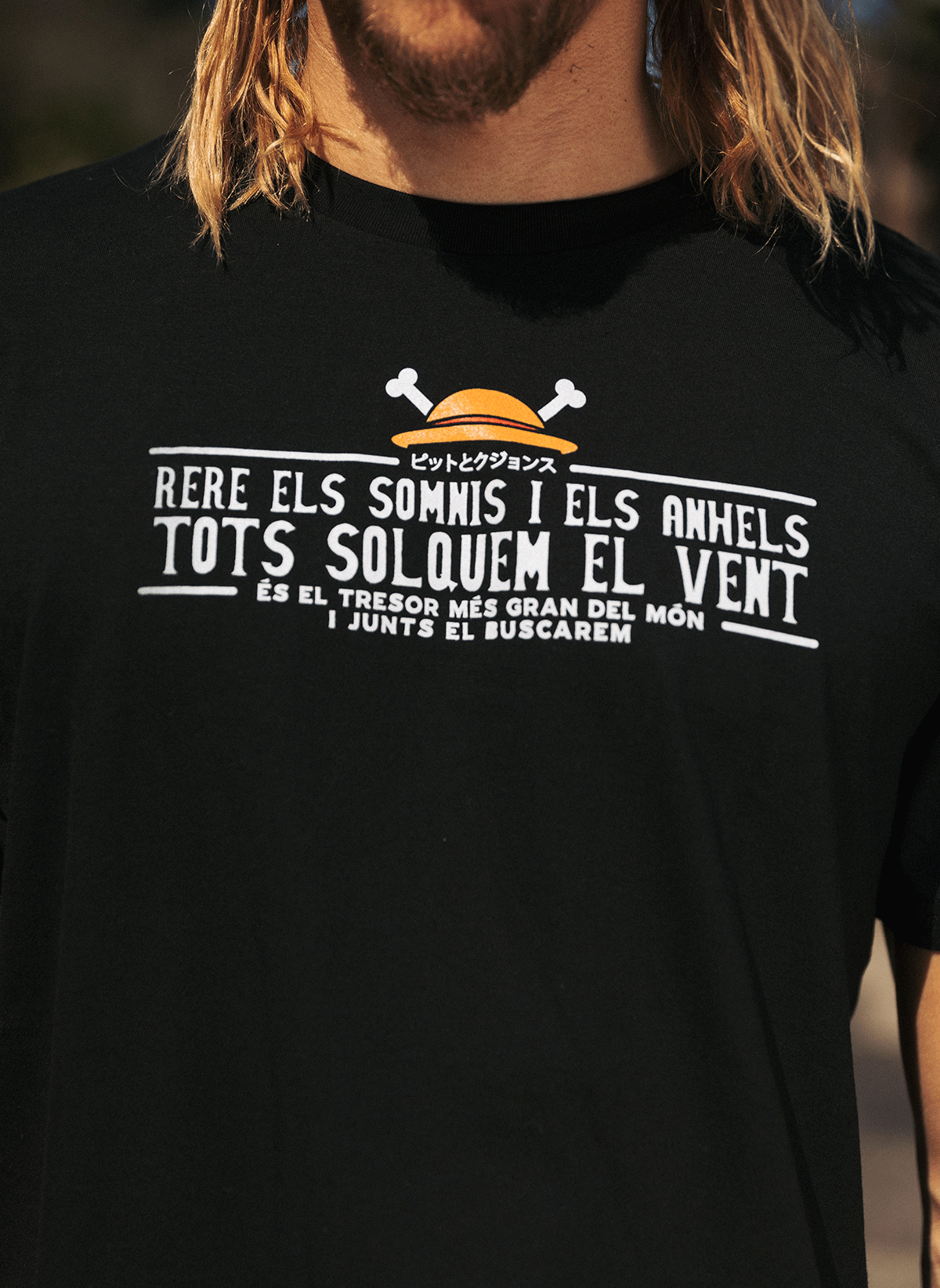 One Piece - Rere els somnis i els anhels, tots solquem el vent.