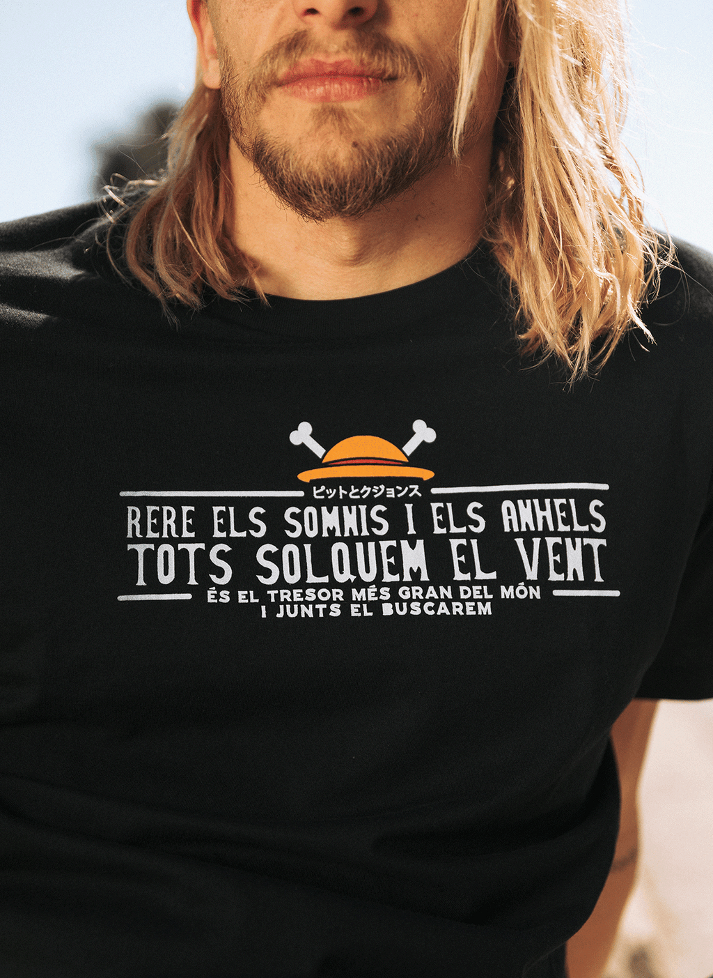 One Piece - Rere els somnis i els anhels, tots solquem el vent.