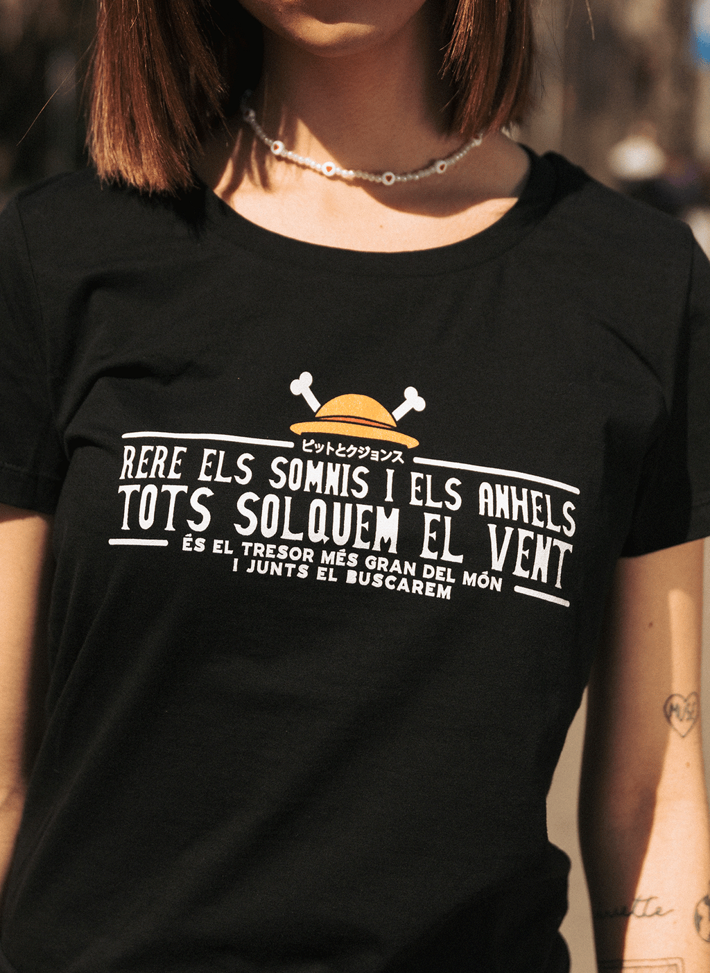 One Piece - Rere els somnis i els anhels, tots solquem el vent.